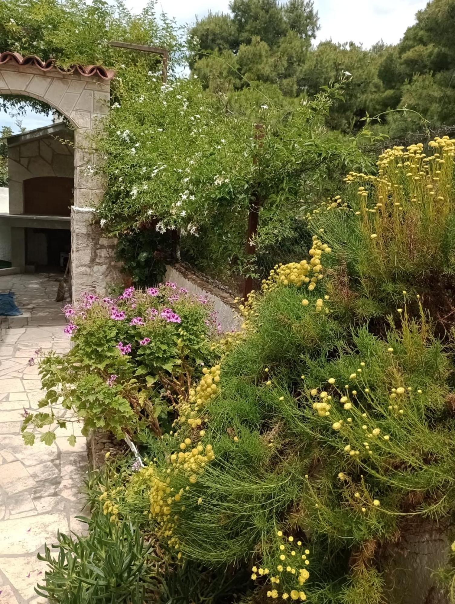 Villa Kuca Za Odmor Skalina - Sea View Splitska Zimmer foto